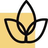 Gastronomia de montña